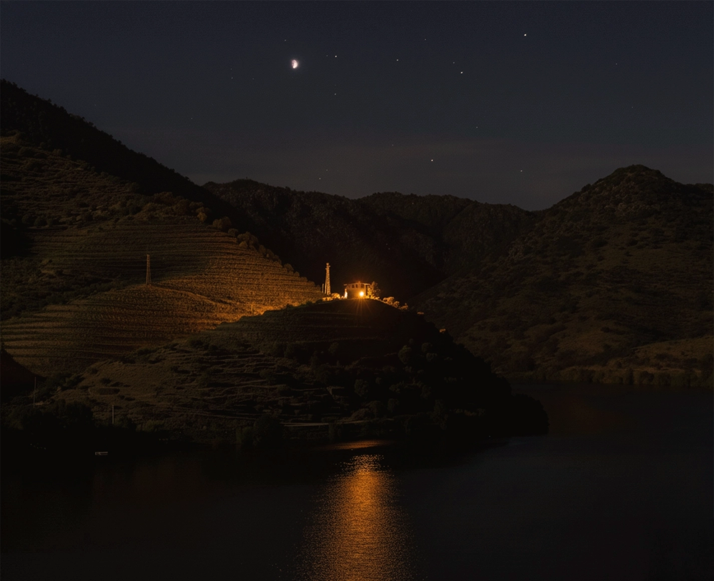 Vinhas centenárias no Vale do Douro